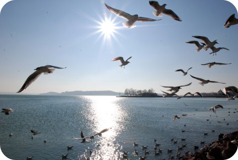 Il Lago Balaton